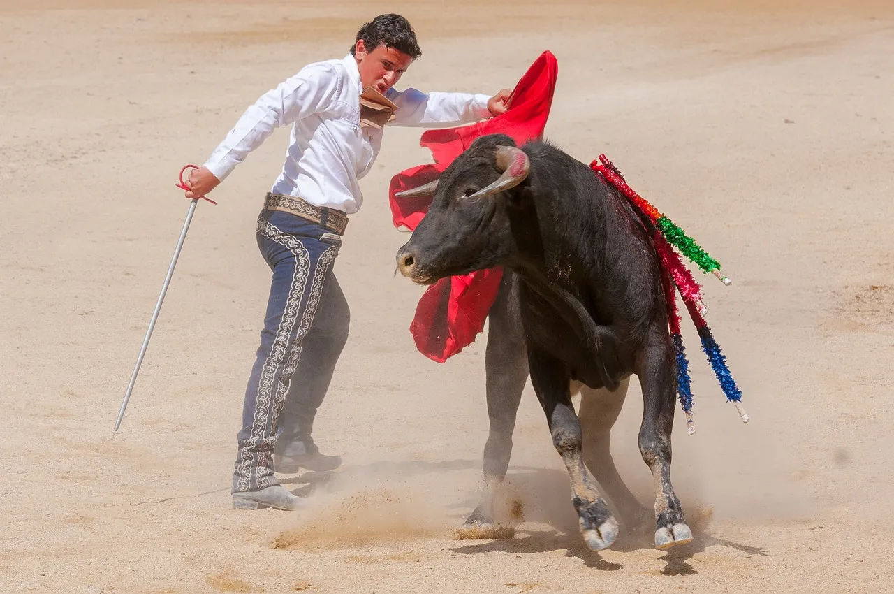 Bullfighting